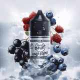 Flavour Beast Unleashed Nic Salt – 30ml / 20mg - Vape Fix